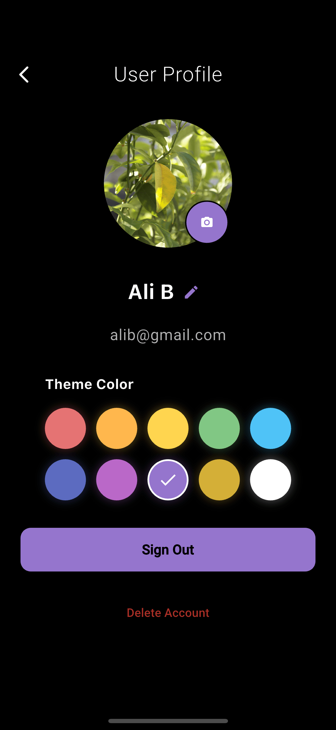 Theme Color